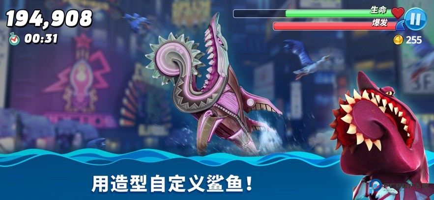 饥饿鲨:世界最新手机移动端v6.5.10