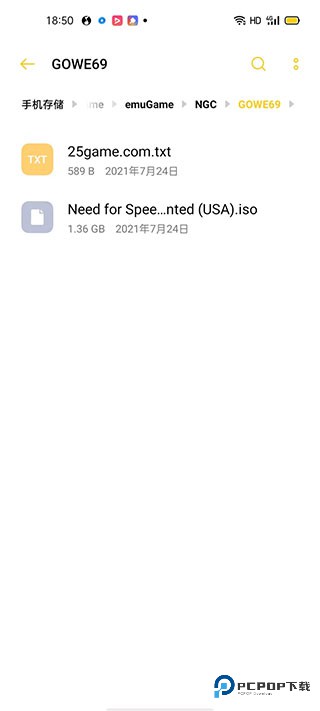 NGC模拟器中文版