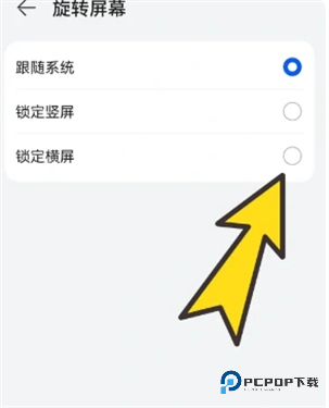 波波浏览器海外谷歌版