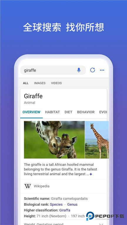 必应国际版安卓新版v32.2.4307