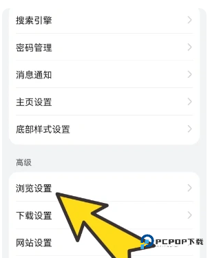 波波浏览器海外谷歌版