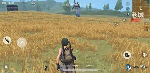 和平精英PC模拟器手机版