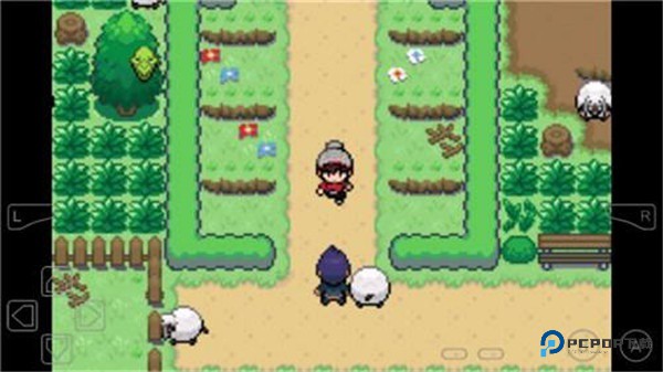 精灵宝可梦剑盾