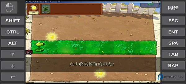 植物大战僵尸95版原版