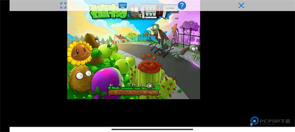 植物大战僵尸95版原版