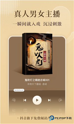 番茄小说免广告版