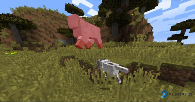 Minecraft1.2.1基岩版