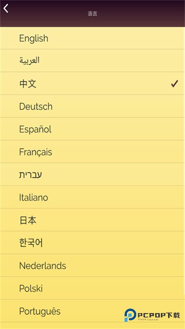 网络天才汉化中文版v8.8.28下载