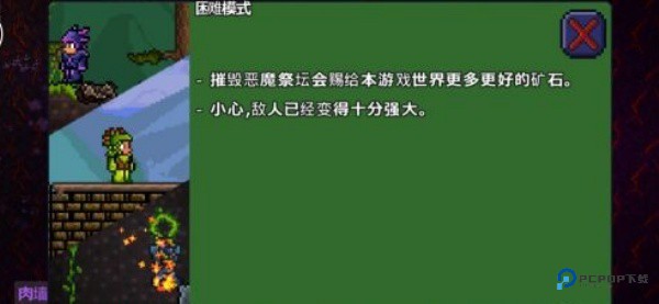 泰拉瑞亚皮皮蛙汉化版