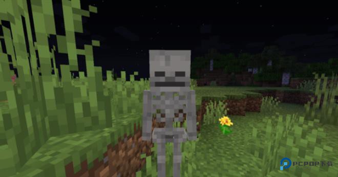Minecraft1.2.1基岩版