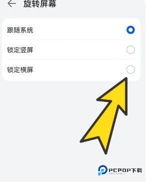 波波浏览器蓝色版本