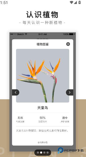 花田小憩2026升级版下载