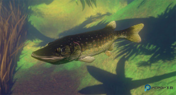 海底大猎杀正版