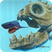 海底大猎杀手游移植版