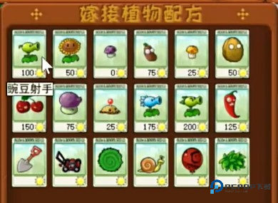 植物大战僵尸嫁接版