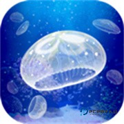 仓鼠的日常Hamster Life