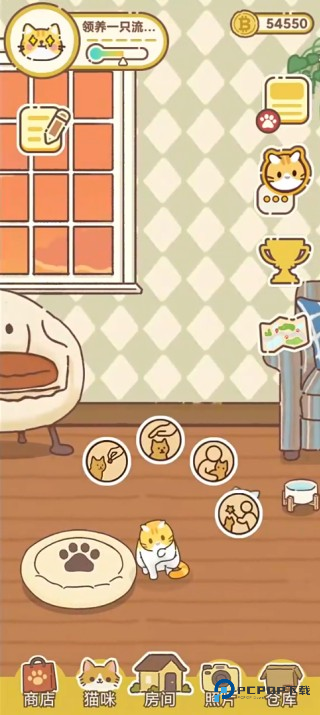 领养一只流浪猫游戏玩法2
