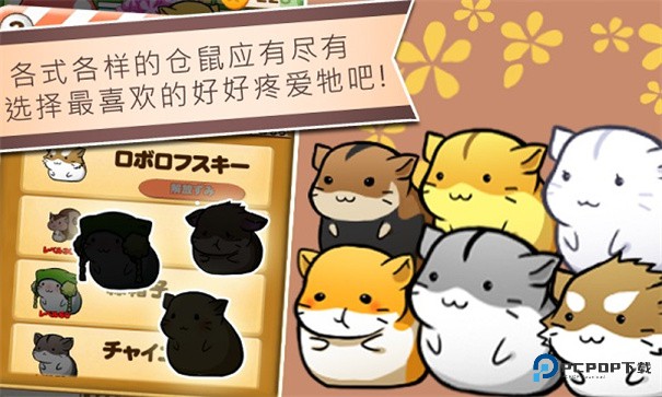 仓鼠的日常Hamster Life