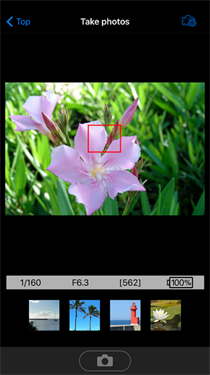 wmu尼康下载v1.6.2.3001