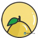 小柚子相机官方版