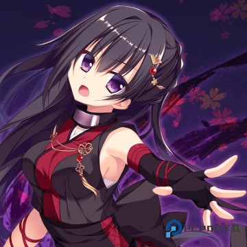 忍者少女与都市妖团