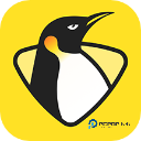 企鹅体育下载直装