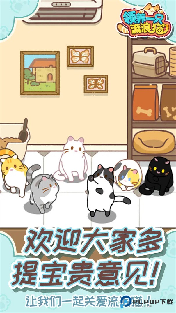 领养一只流浪猫