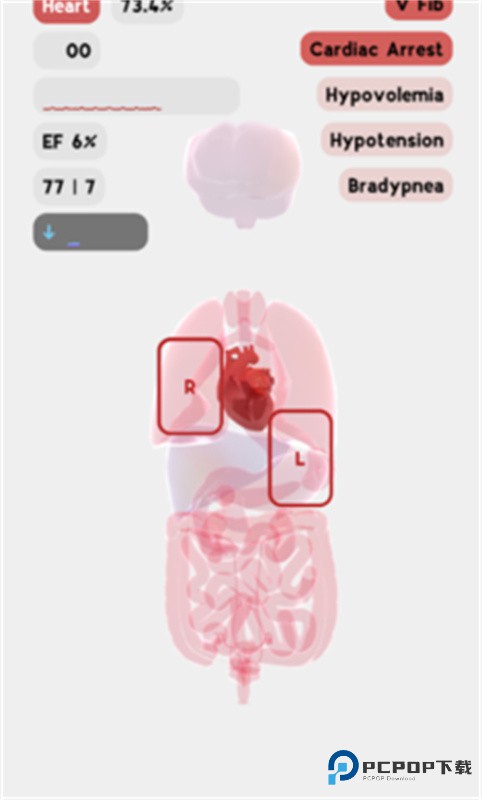 人体细胞模拟器