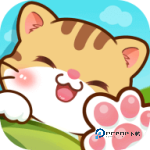 桌面喵app安卓版