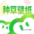 种草壁纸app软件