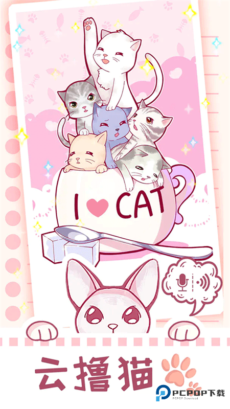 云撸猫咪