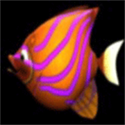 大鱼吃小鱼变态版