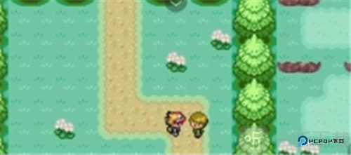 口袋妖怪格查尔