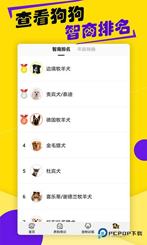 狗语翻译器中文版