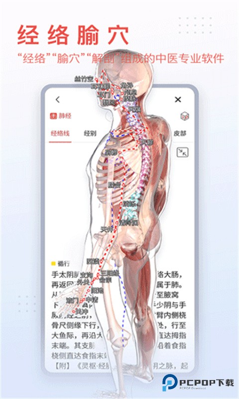 3dbody解剖