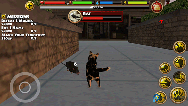 流浪猫模拟器游戏玩法-2