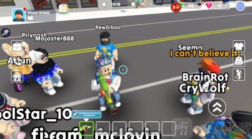 布鲁克托皮亚城