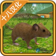 越野车生存之旅