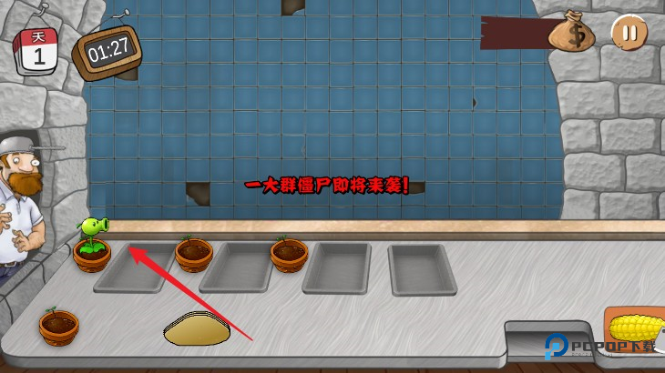 沙威玛大战僵尸