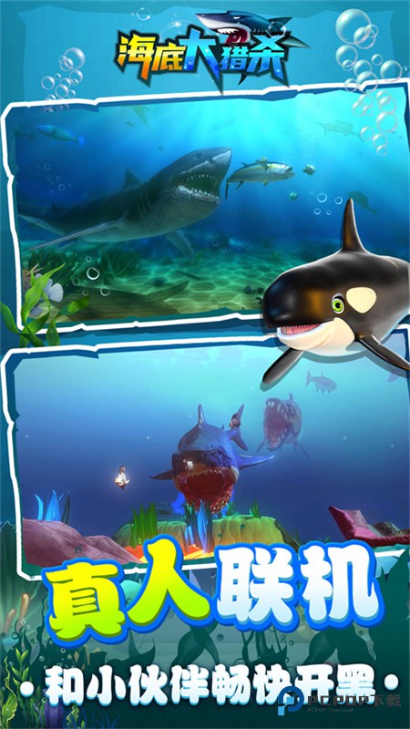 海底大猎杀中文版