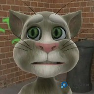 talkingtom1手机版2026新版免费下载