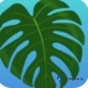 植物疗愈纽约时光