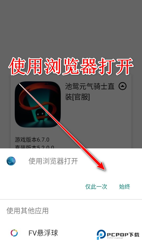 池鸳启动插件最新版