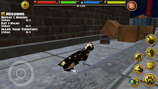 流浪猫模拟器游戏玩法-1