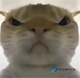 三角洲行动鼠鼠工具app