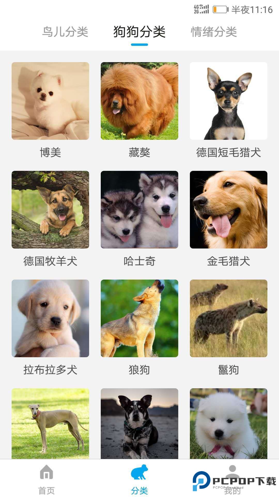 动物翻译器官方正版