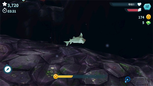 饥饿鲨进化中文版