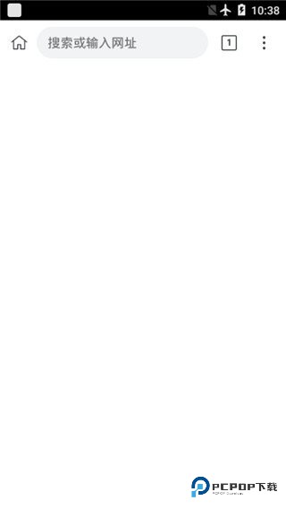 kiwibrowser中文版