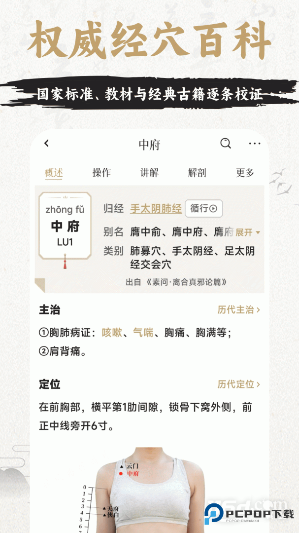 中济经络穴位 v3.7.1