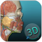 人体解剖学图集 v2025.11.28